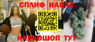 бошки Гай