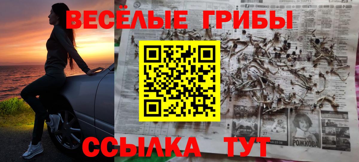 Нурлат  Псилоцибиновые грибы Magic Shrooms  Псилоцибиновые грибы мицелий  Вход с VPN 